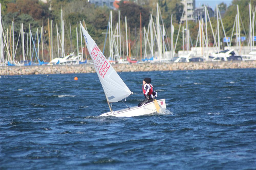 Vis 20111008 130840.jpg i fuld st�rrelse